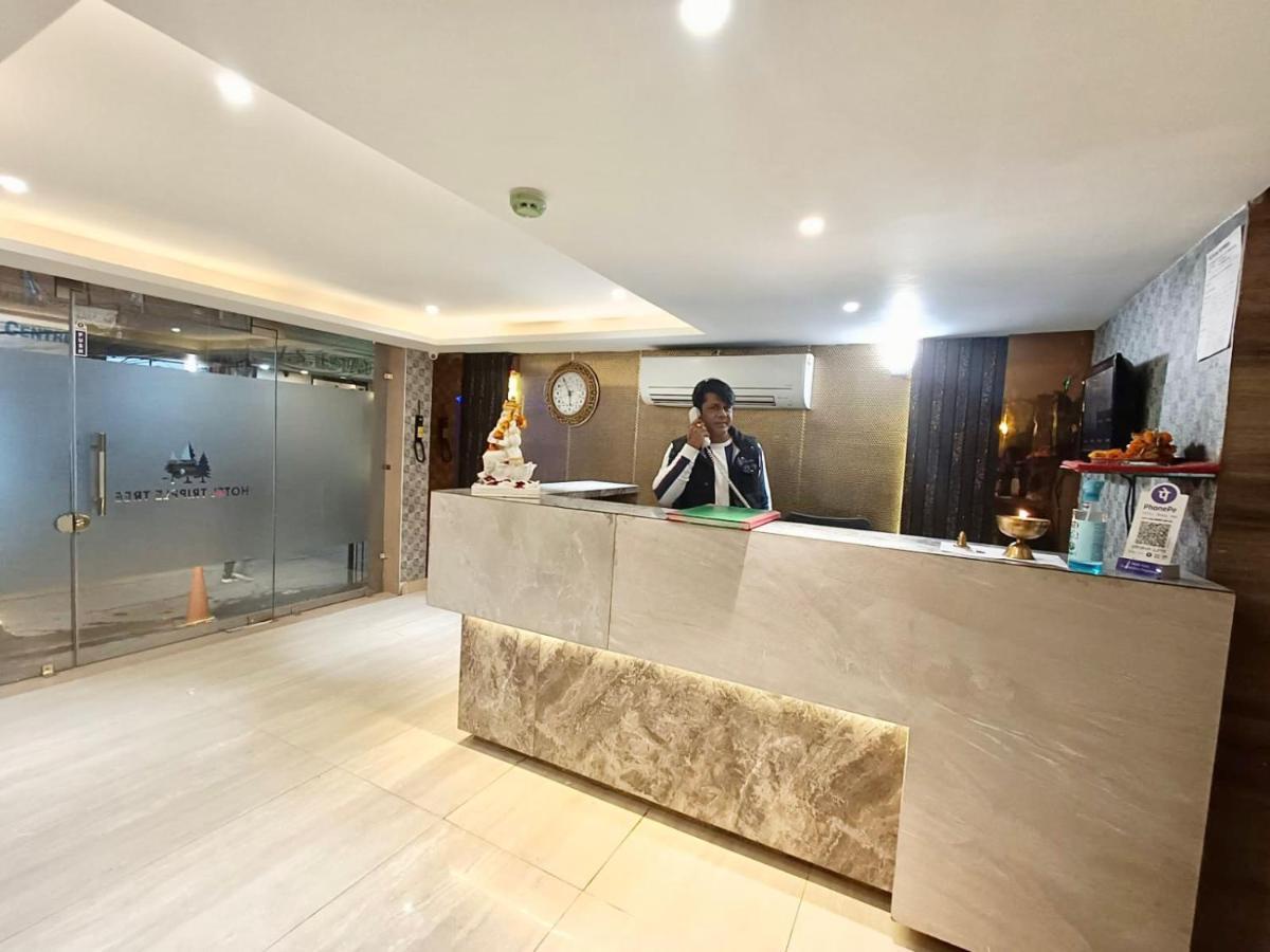 Tripple Tree - Karol Bagh 4* New Delhi